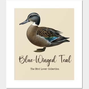 Blue-Winged Teal - The Bird Lover Collection Posters and Art